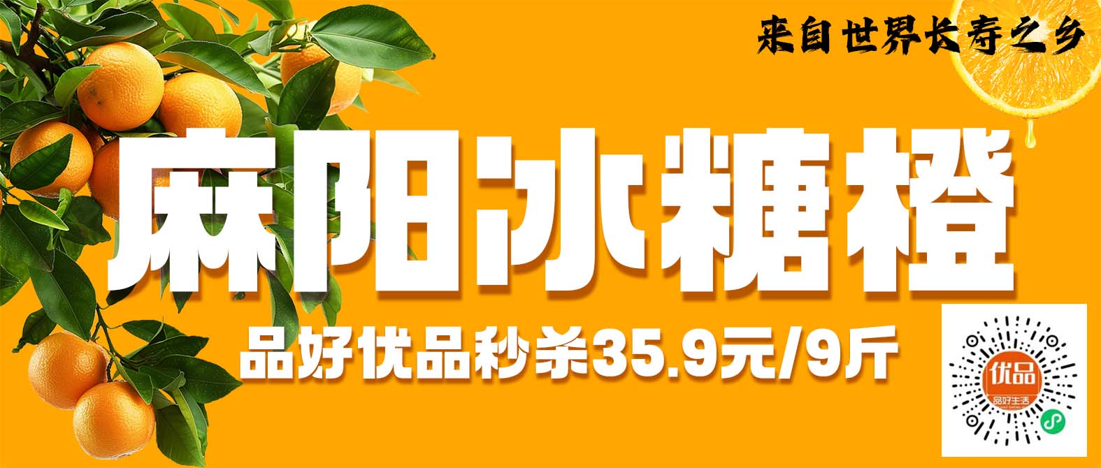 世界长寿之乡-麻阳冰糖橙